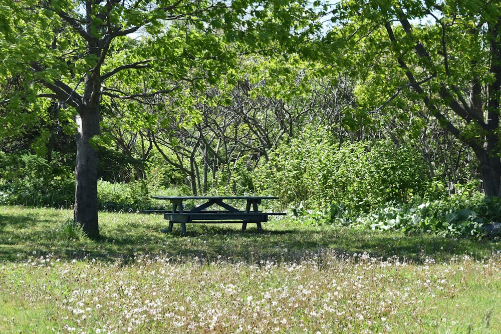 black wooden picnic table on green grass field