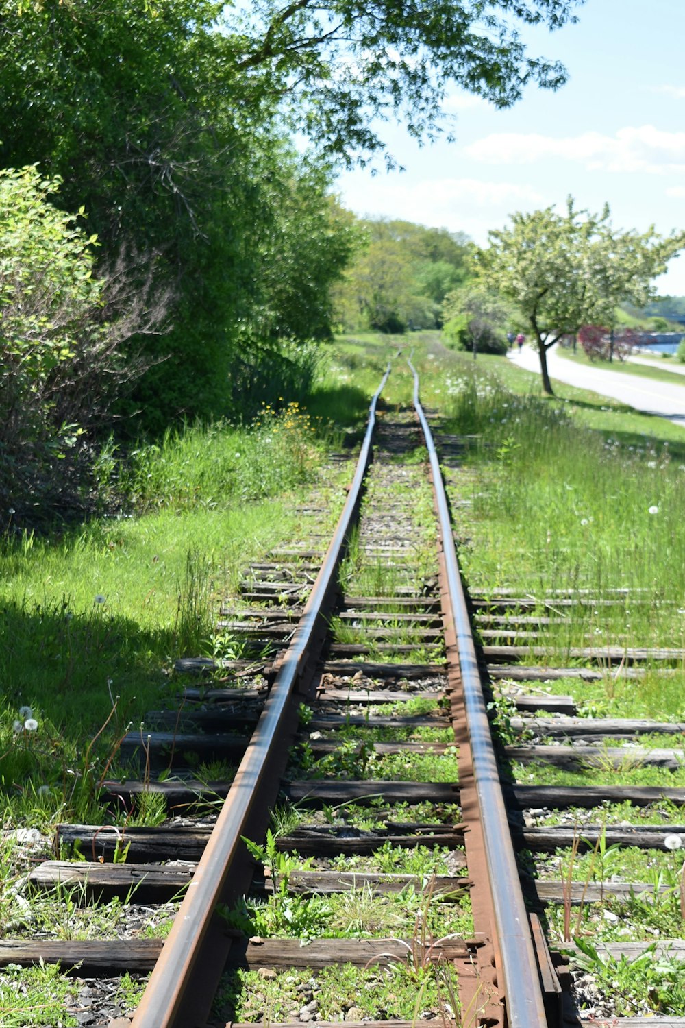brown train trail