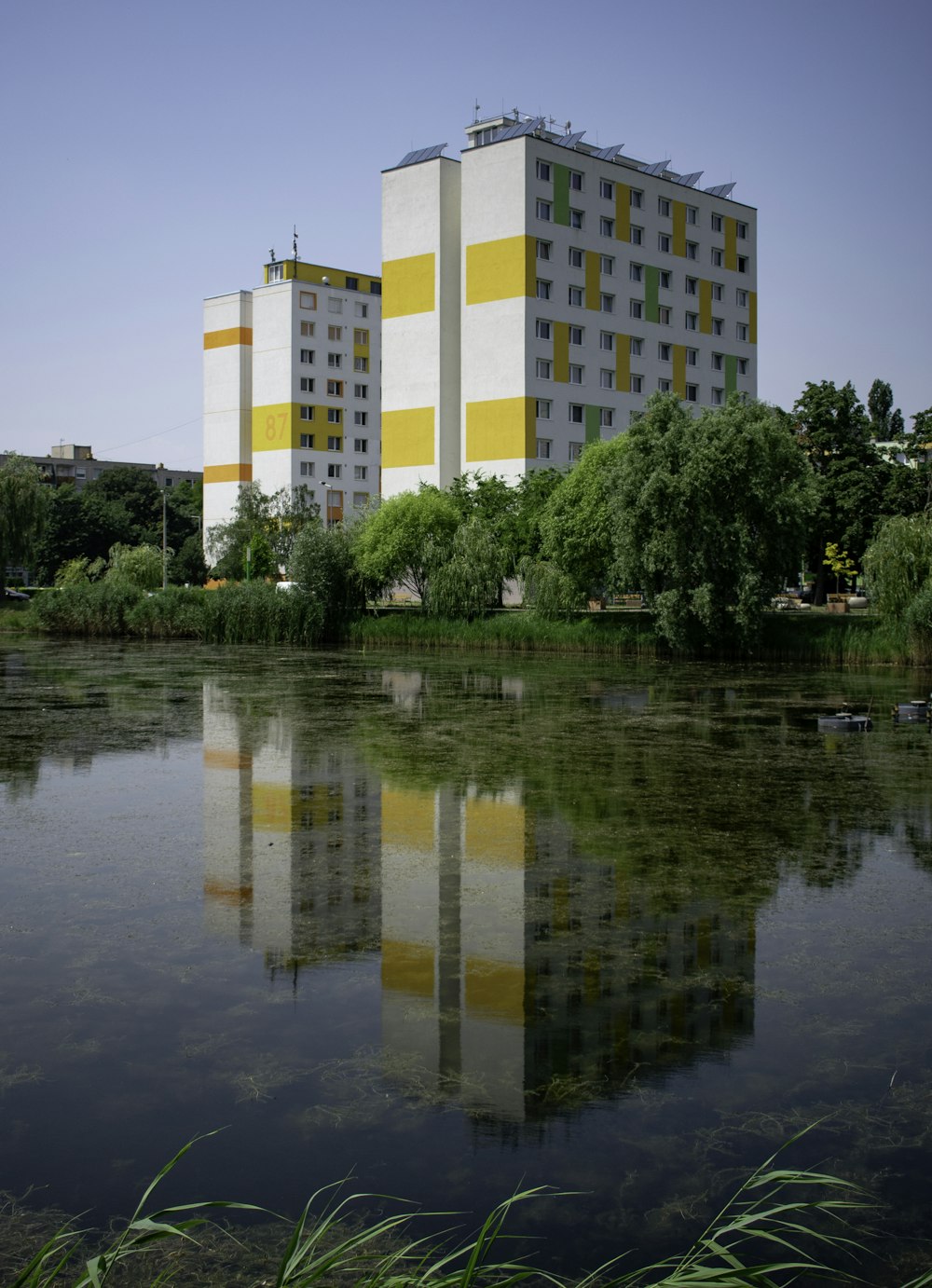 white and yellow concrete building near green-leafed tree