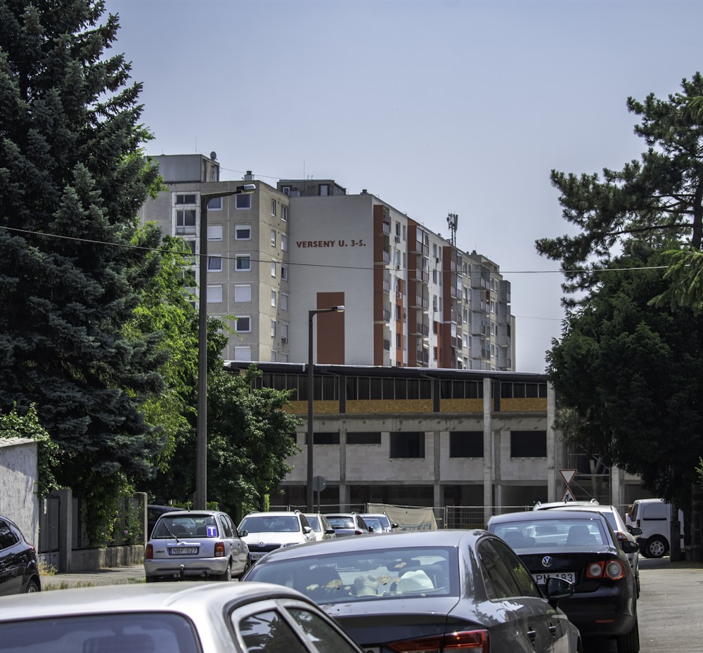 cars on road near trees and buildings