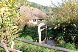 A rustic wooden bridge crosses a small stream surrounded by lush greenery. In the background, a thatched-roof house is partially hidden by overgrown bushes and trees. The scene is set in a rural area with hills covered in a mix of green and autumn-colored trees.