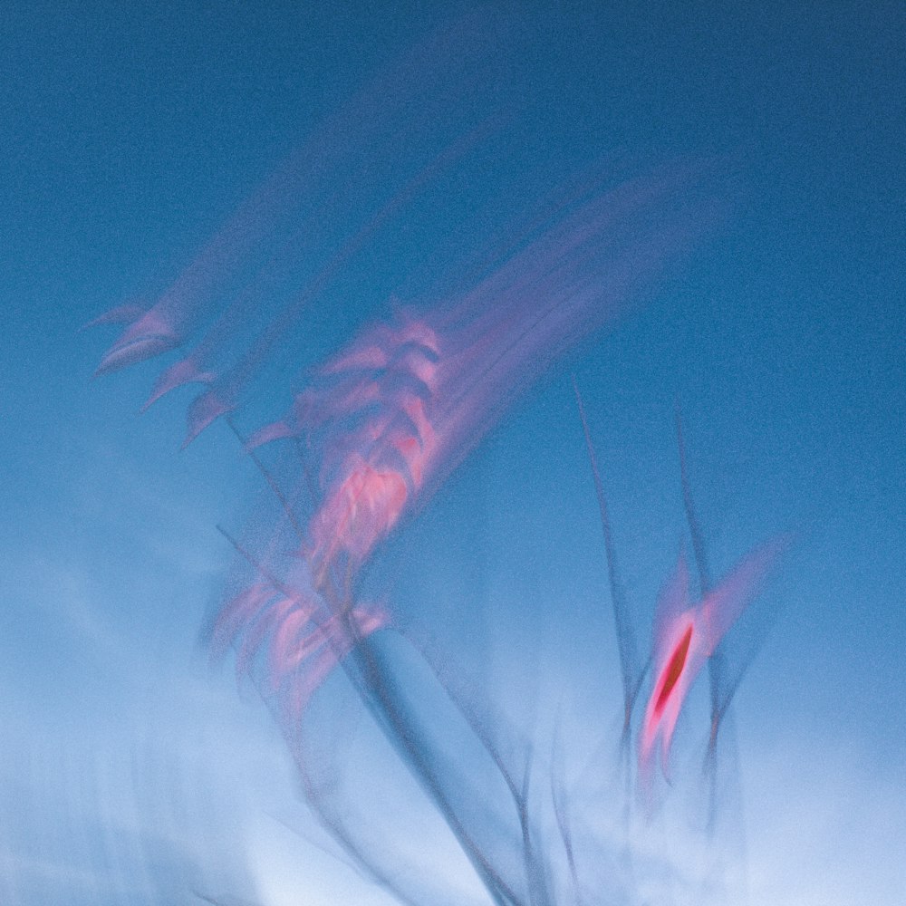 a blurry photo of a tree with a blue sky in the background