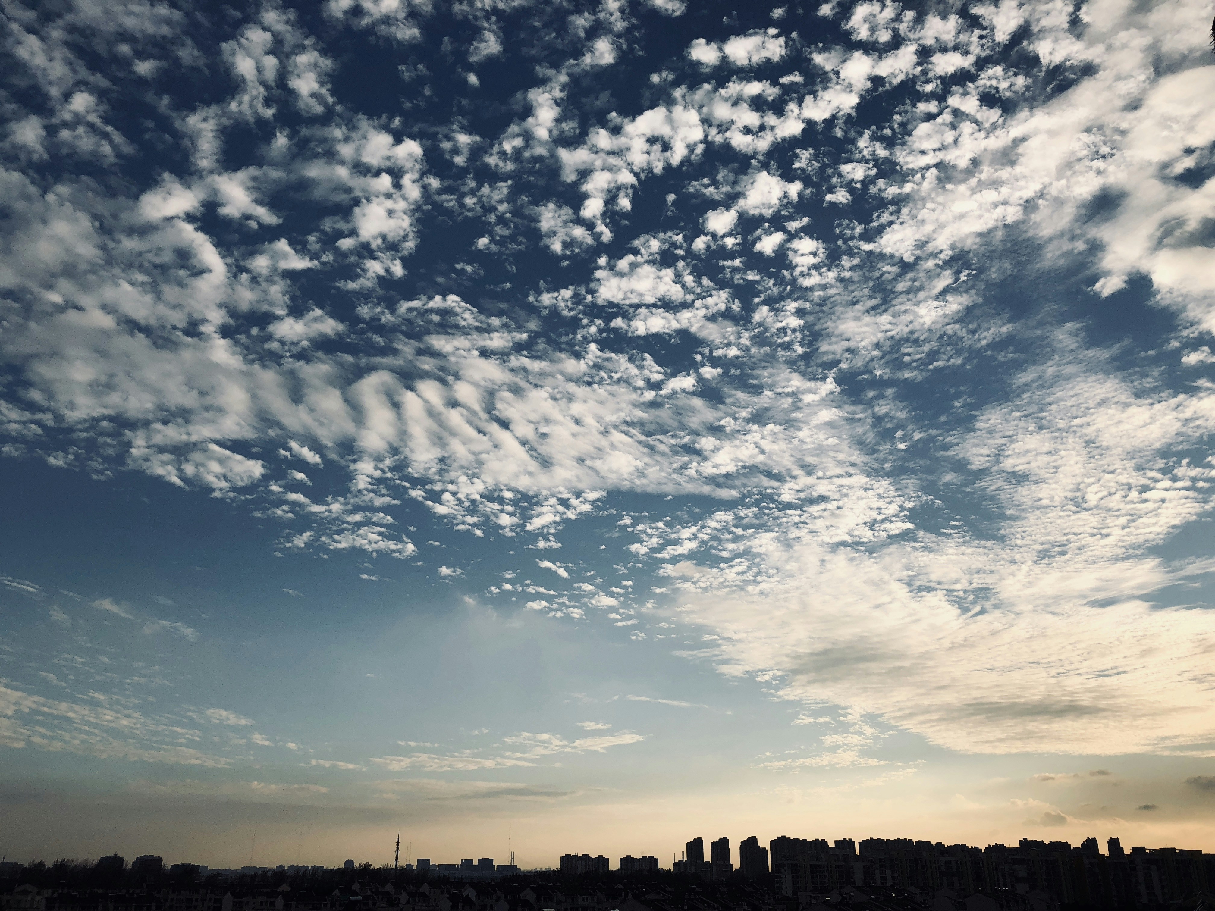 Photo by sageyoyo