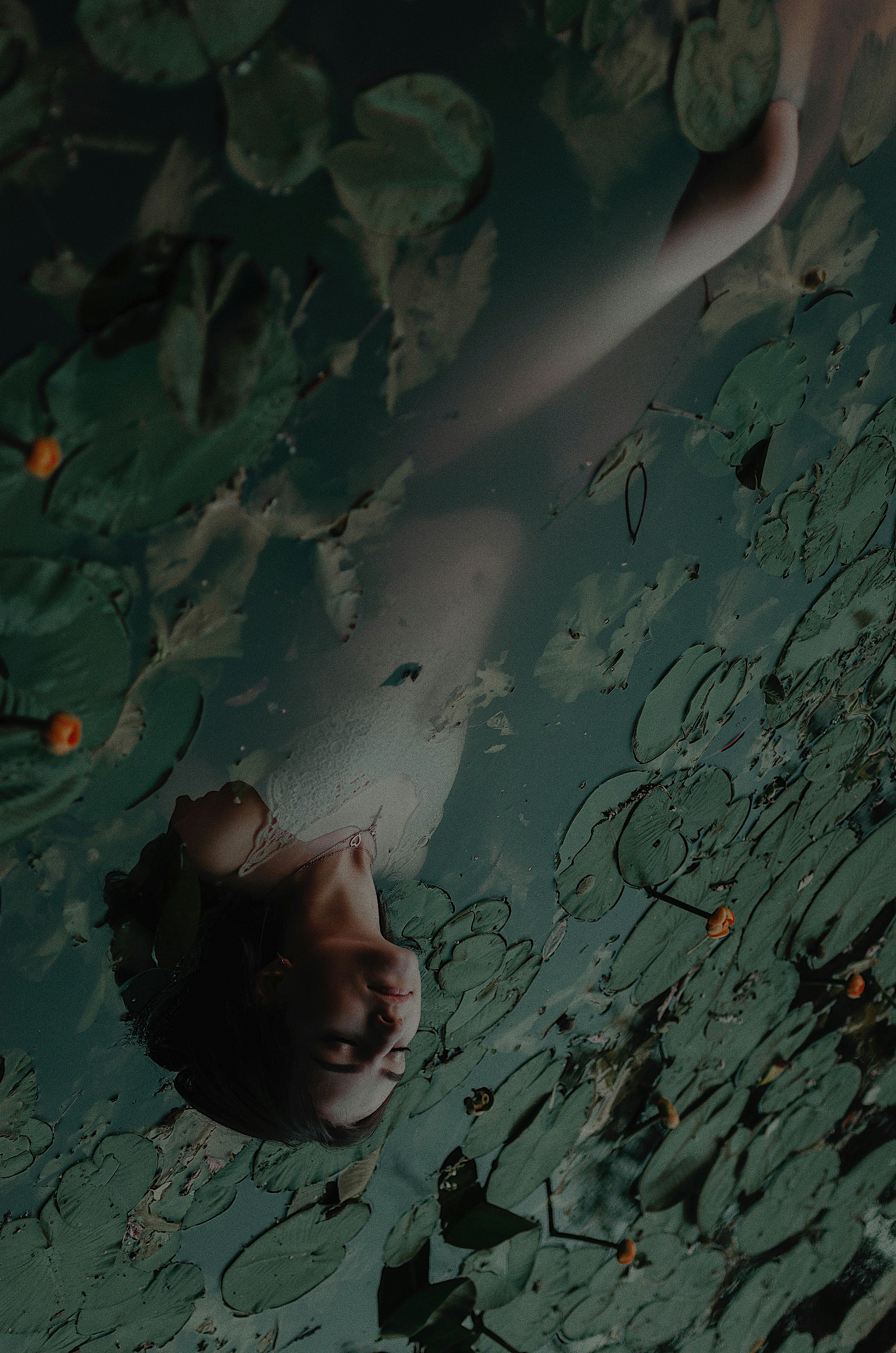 Photo by artemivanchencko