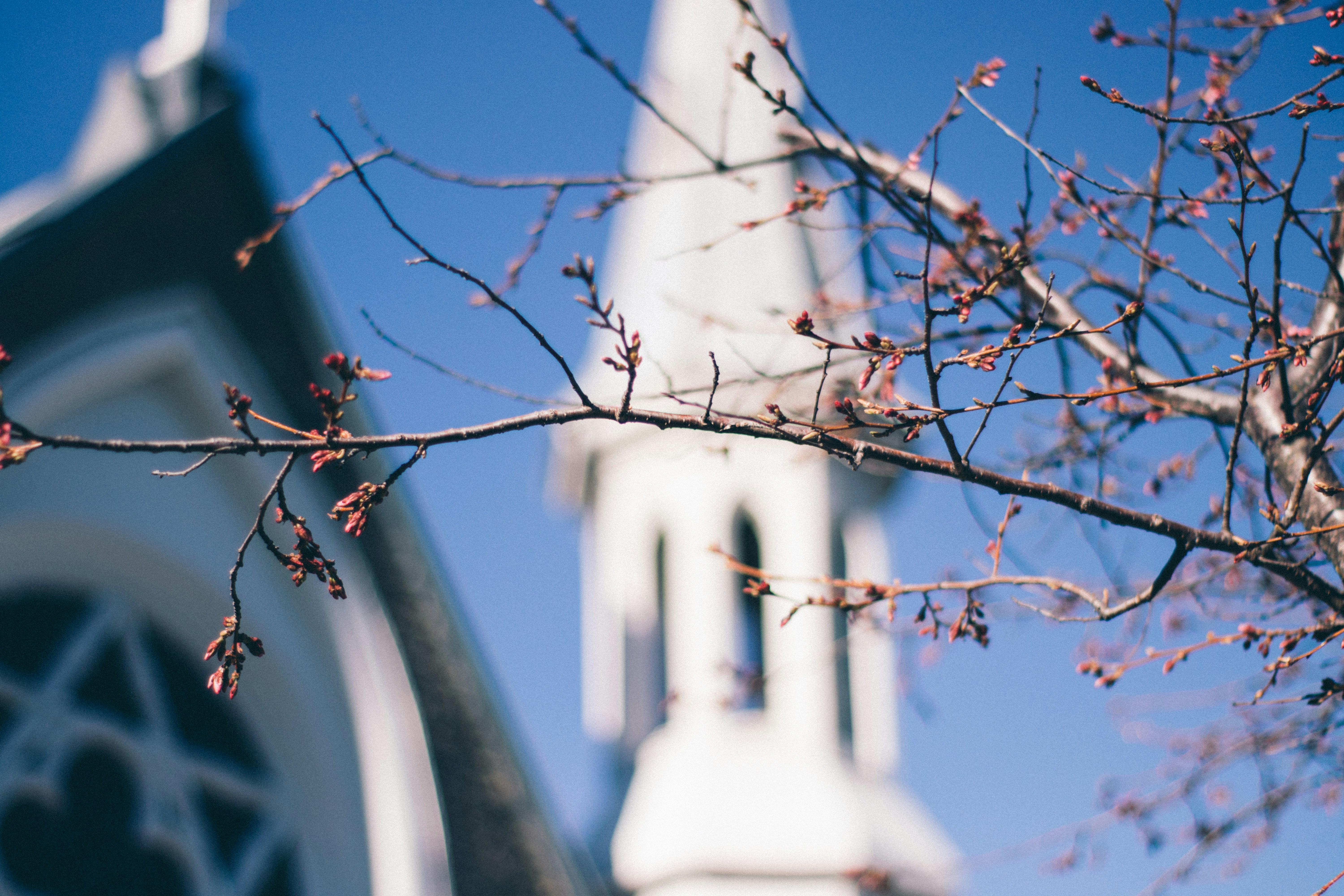 Photo by davidvilches