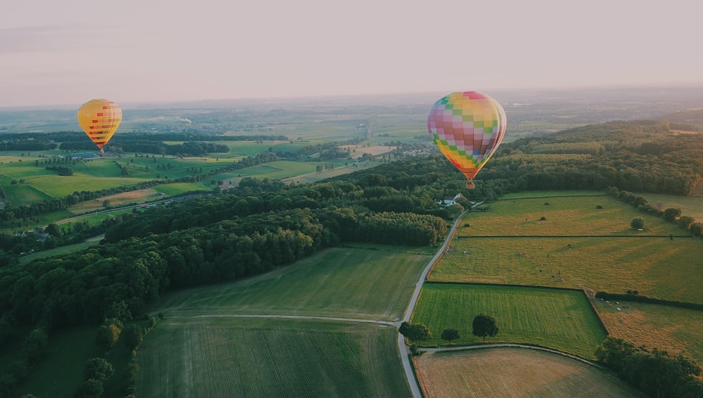 two assorted-color hot air balloons