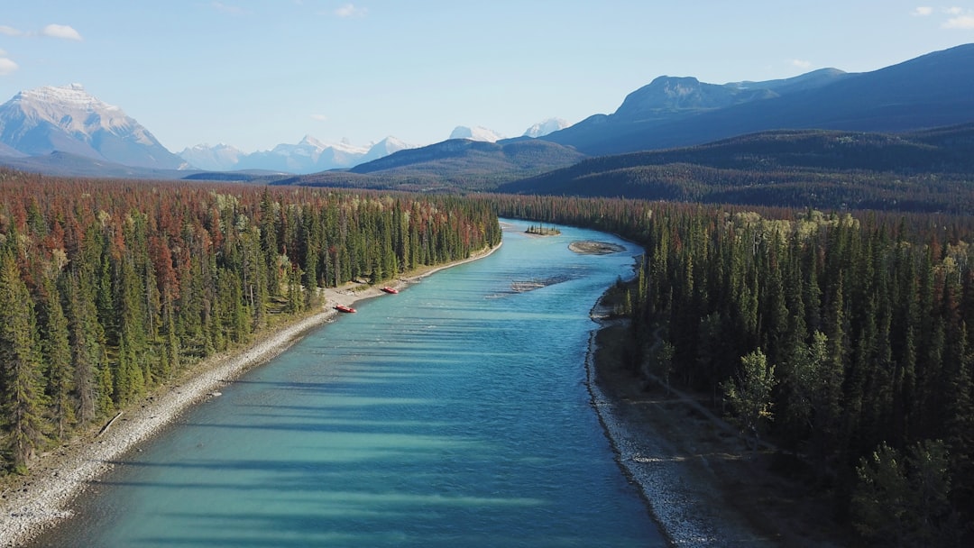 River photo spot Unnamed Road Athabasca River