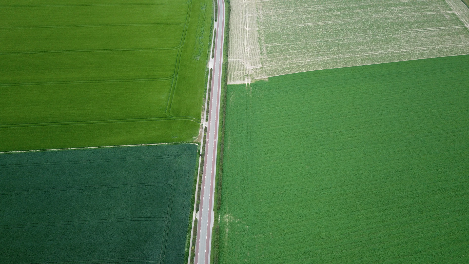 Aerial view of Dutch polder farmland