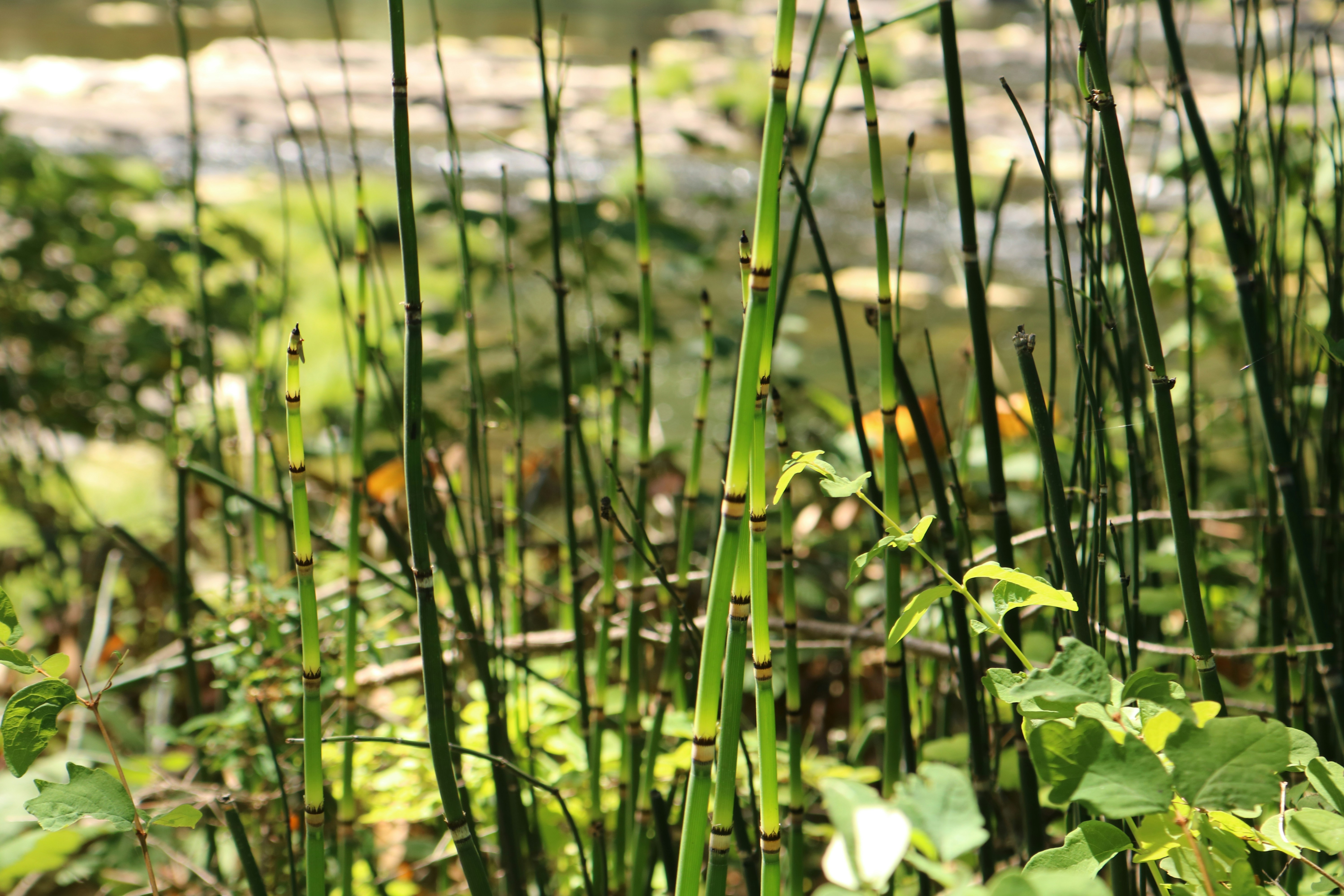 Photo by davidjboozer