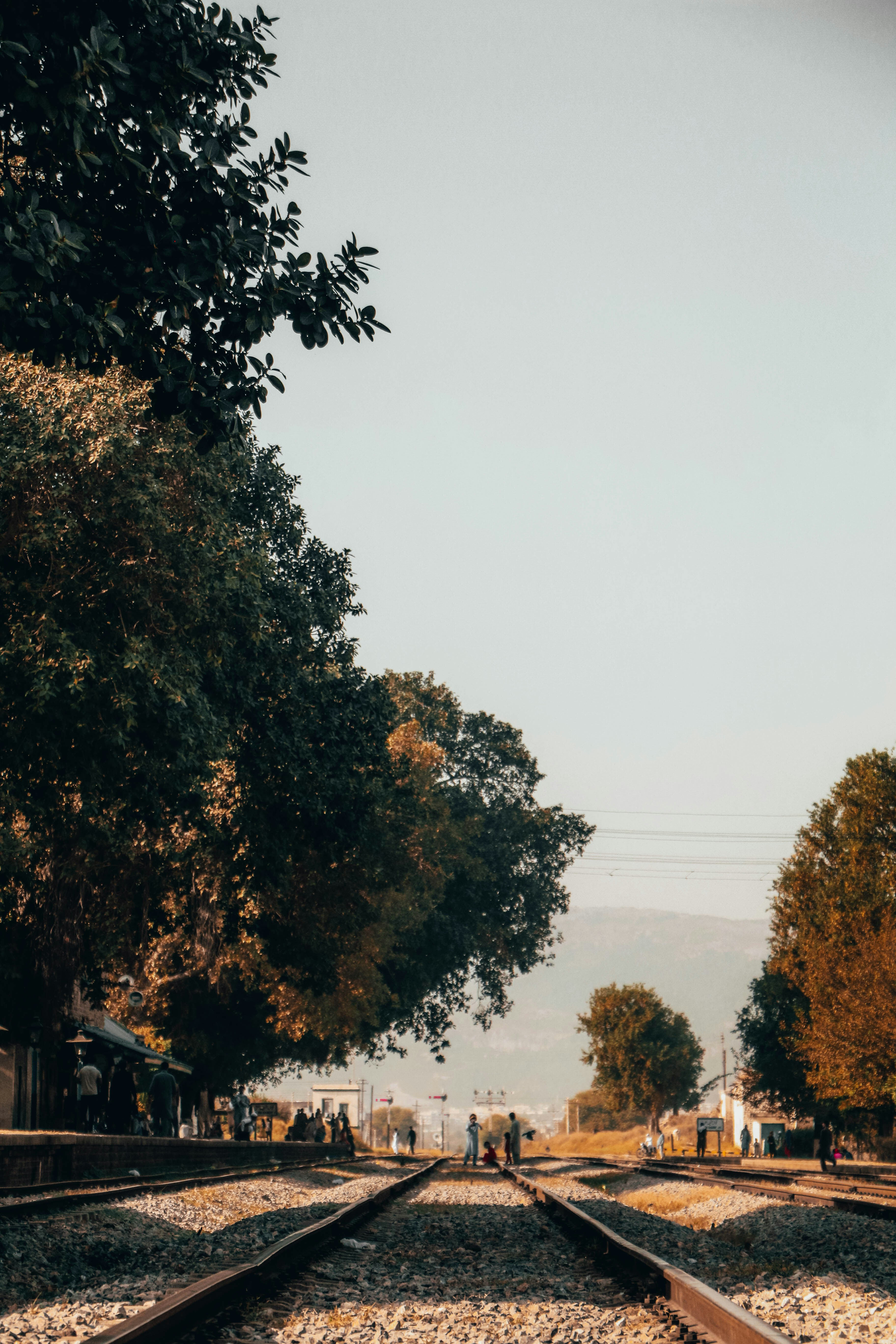 Photo by salararif28