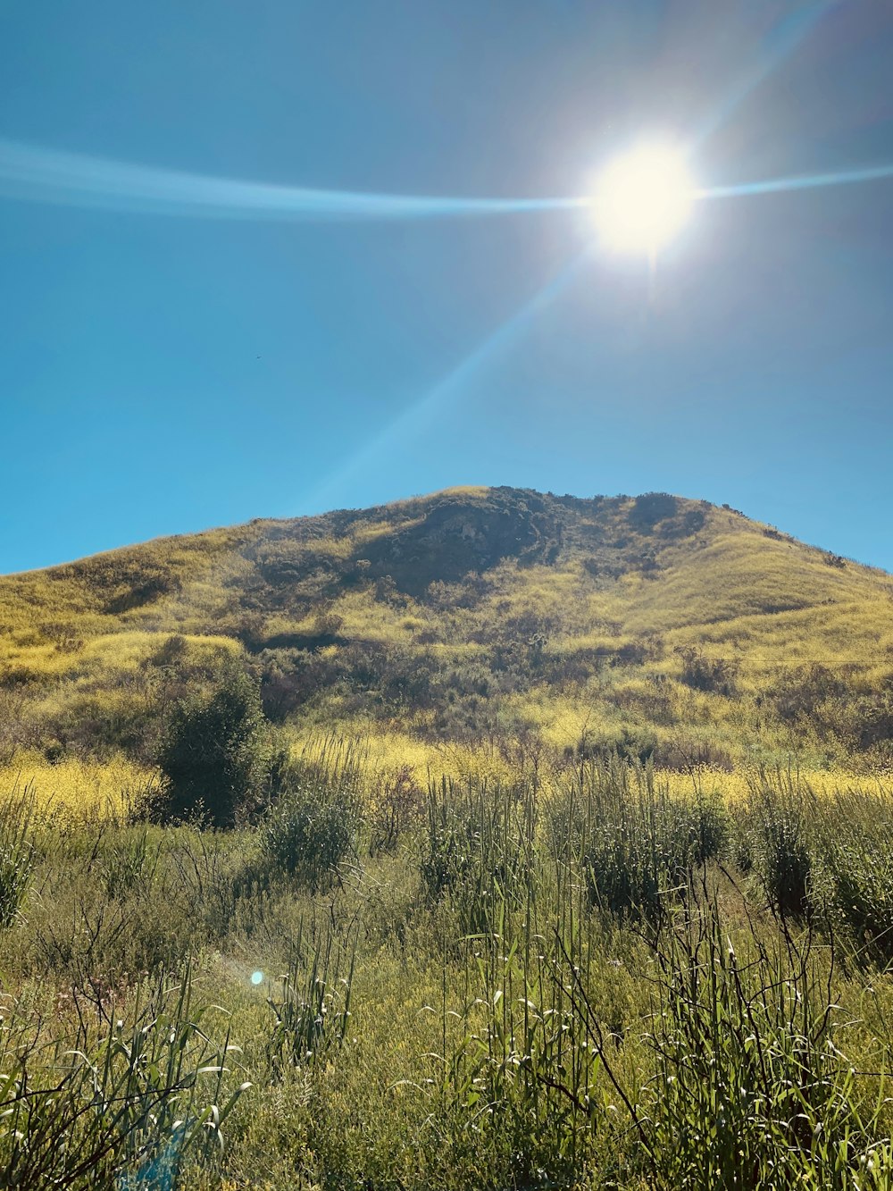 green mountain during daytime