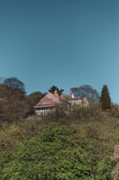 A cozy house with a deep red roof contrasting against a bright blue sky.