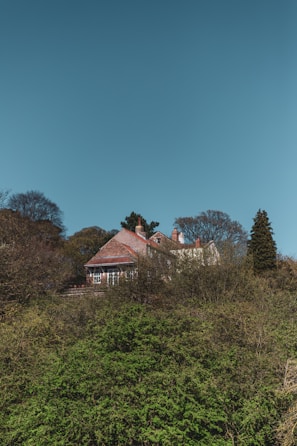 A cozy house with a deep red roof contrasting against a bright blue sky.