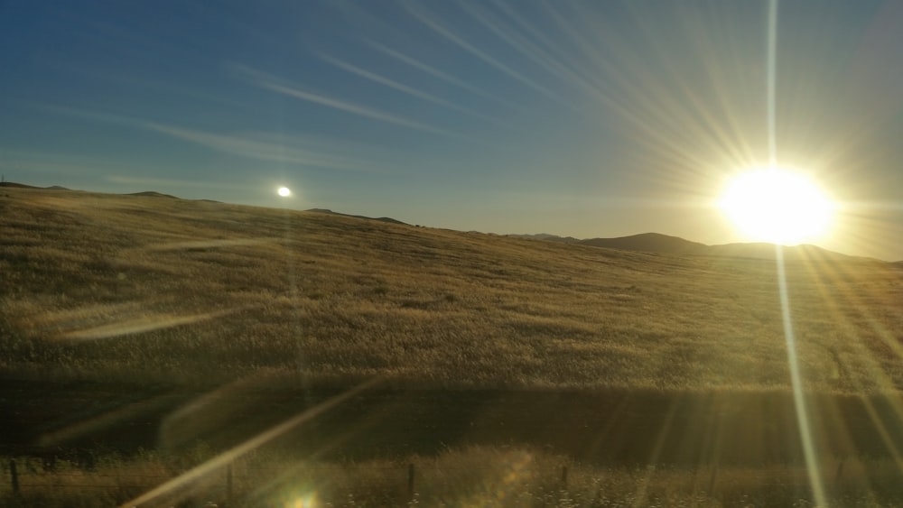 campo di erba verde e sole