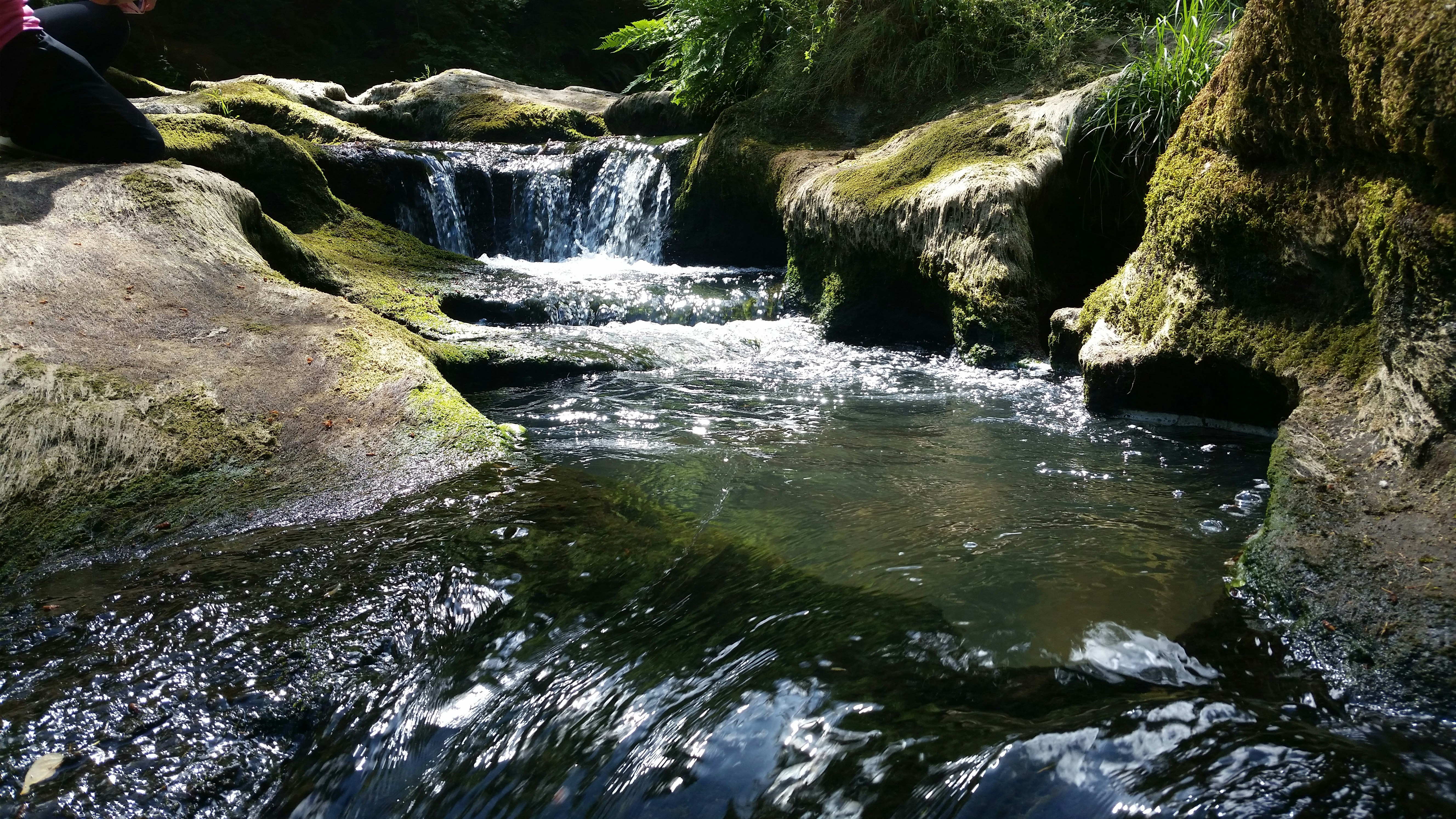 Photo by pictures102