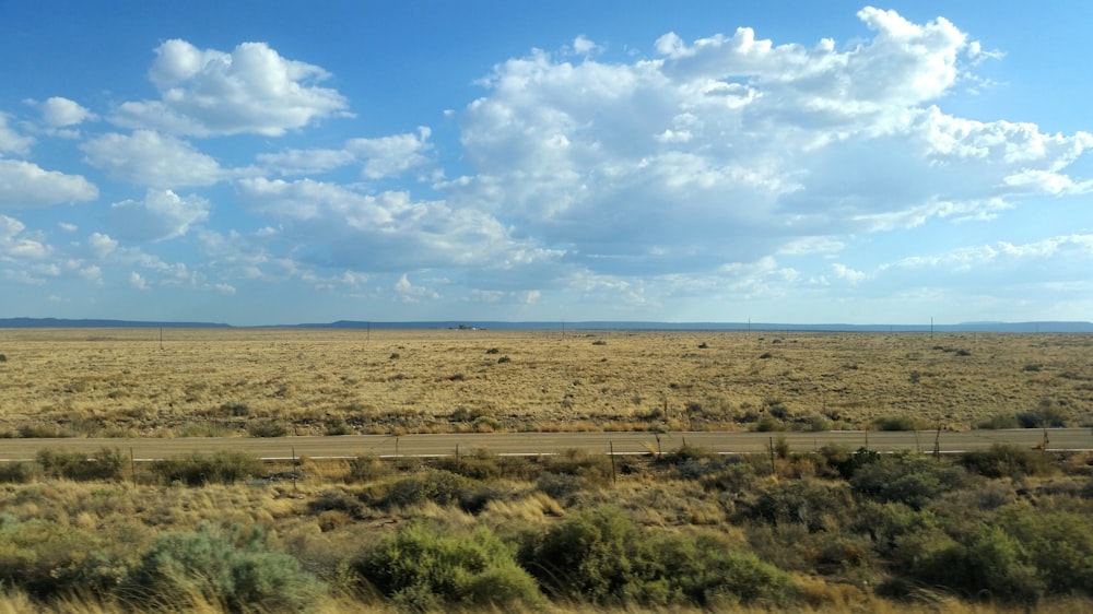 grass field under cloudy sky during daytime