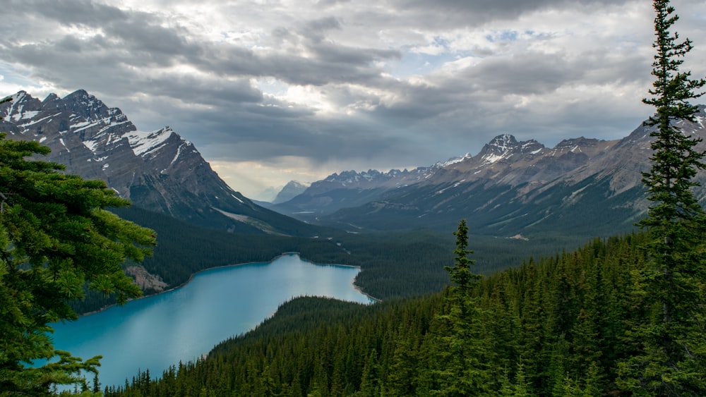 lake in forest