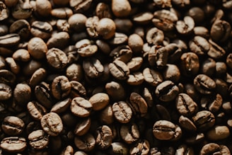 A close-up view of numerous roasted coffee beans scattered across the surface. The beans display a rich, dark brown color with a glossy texture, indicating a freshly roasted quality. Each bean reveals intricate details in its surface and shape.