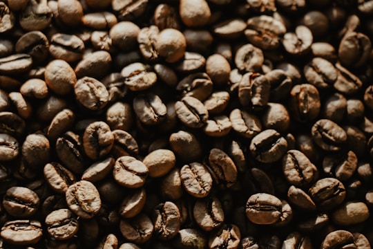 A close-up view of numerous roasted coffee beans scattered across the surface. The beans display a rich, dark brown color with a glossy texture, indicating a freshly roasted quality. Each bean reveals intricate details in its surface and shape.