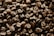 A close-up view of numerous roasted coffee beans scattered across the surface. The beans display a rich, dark brown color with a glossy texture, indicating a freshly roasted quality. Each bean reveals intricate details in its surface and shape.