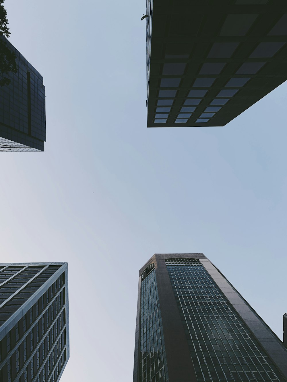 high-rise buildings during day