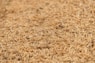 a close up of a pile of brown rice