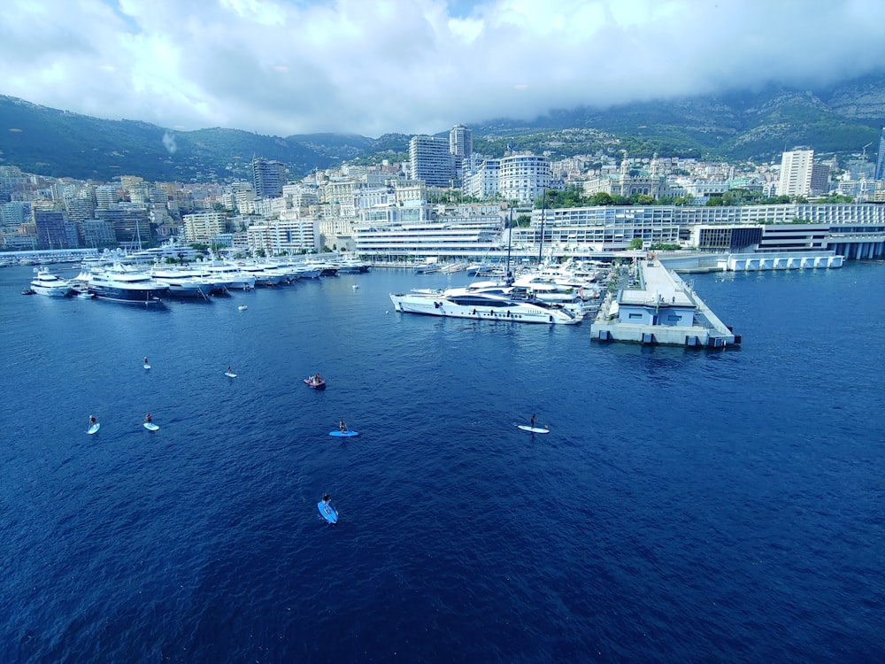 birds eye photography of city near body of water