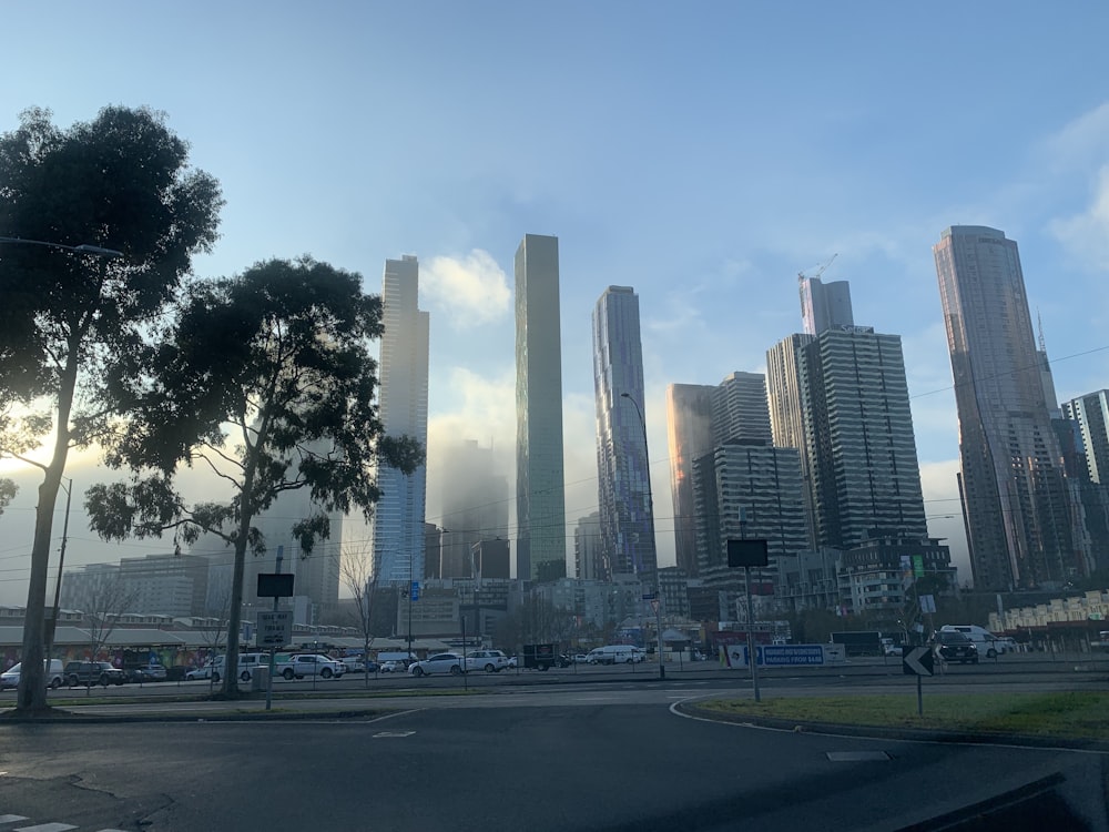 road near trees and buildings