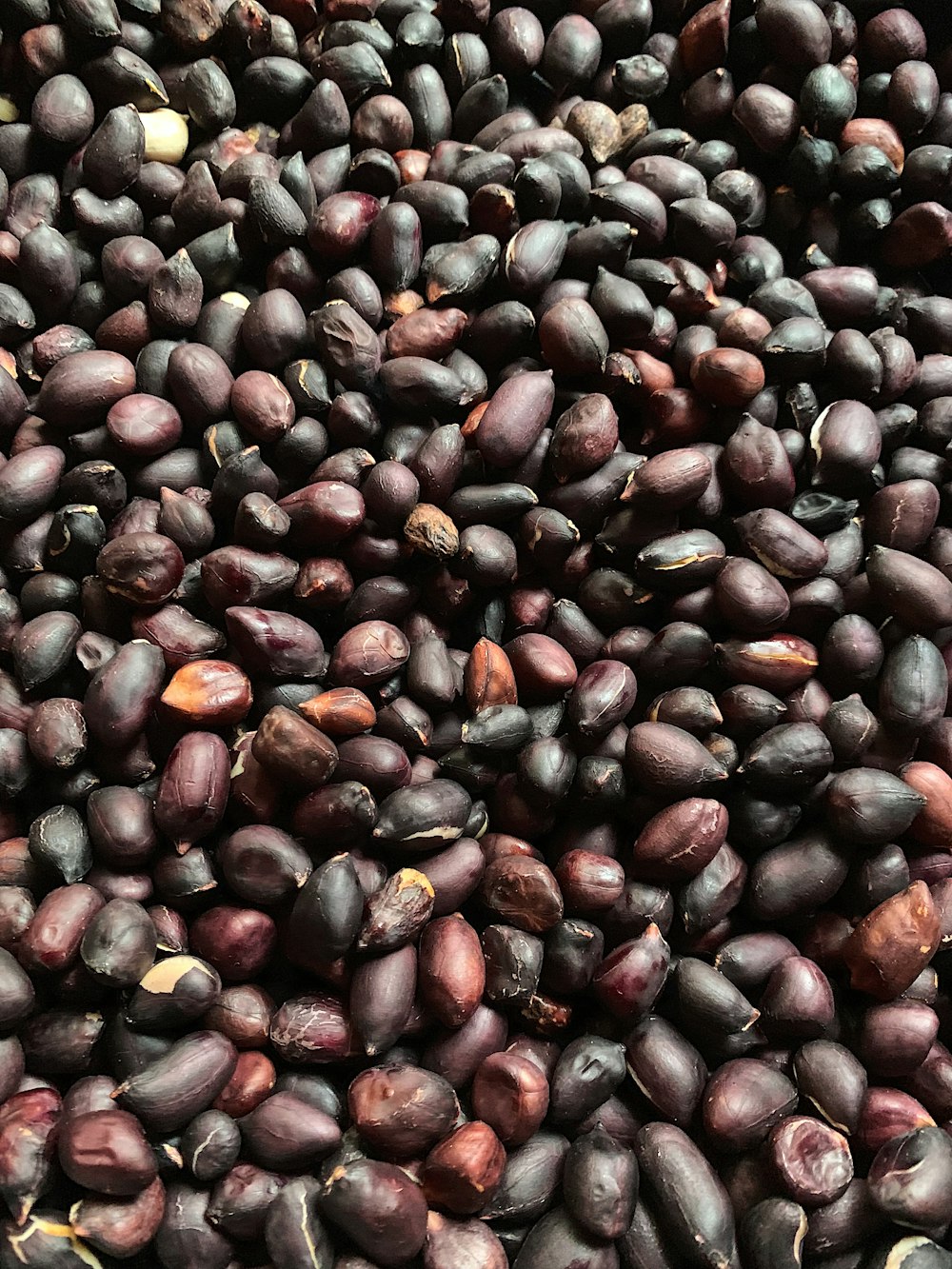 brown coffee beans