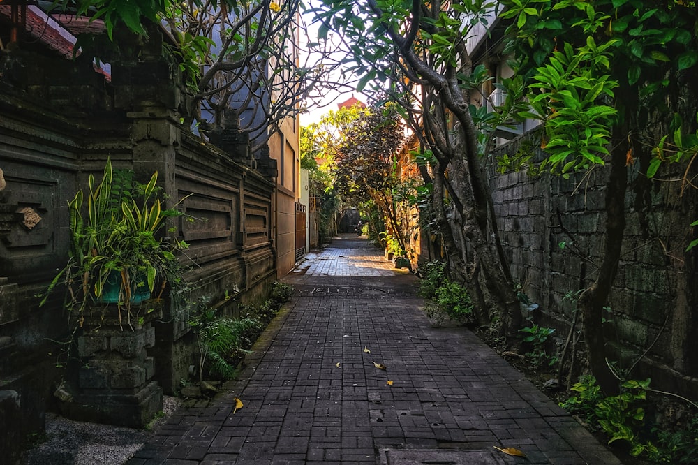 Camino vacío entre la pared y la casa