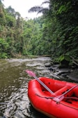 A red inflatable raft is positioned on a gently flowing river surrounded by dense forest. The lush green foliage of trees is abundant, with some branches extending over the water. Rocks line the edge of the river, enhancing the natural and untouched ambiance.