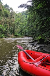 A red inflatable raft is positioned on a gently flowing river surrounded by dense forest. The lush green foliage of trees is abundant, with some branches extending over the water. Rocks line the edge of the river, enhancing the natural and untouched ambiance.