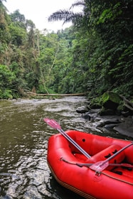 A red inflatable raft is positioned on a gently flowing river surrounded by dense forest. The lush green foliage of trees is abundant, with some branches extending over the water. Rocks line the edge of the river, enhancing the natural and untouched ambiance.