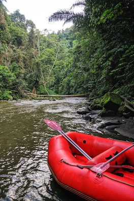 A red inflatable raft is positioned on a gently flowing river surrounded by dense forest. The lush green foliage of trees is abundant, with some branches extending over the water. Rocks line the edge of the river, enhancing the natural and untouched ambiance.