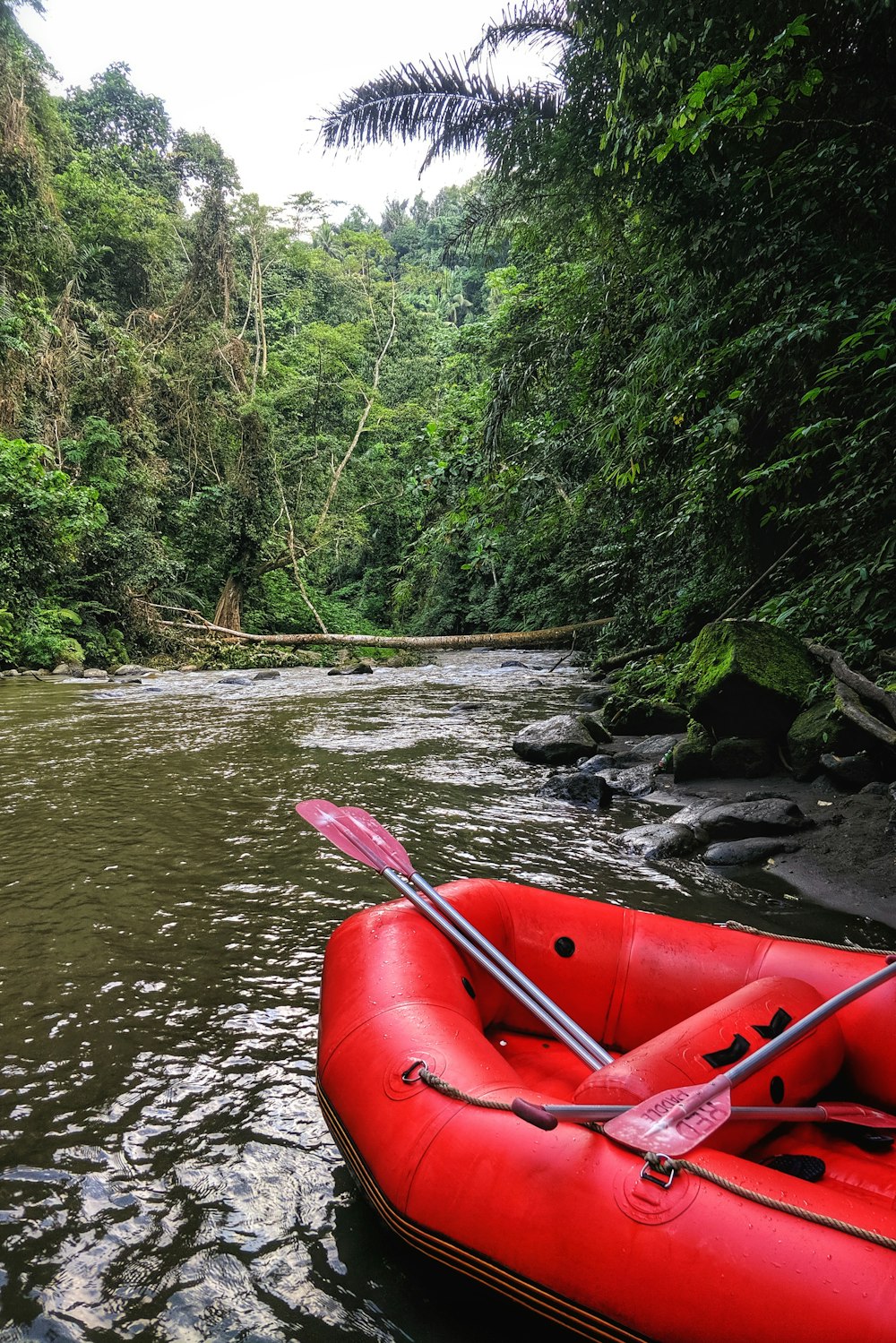 raft boat on body of water surrounded with trees