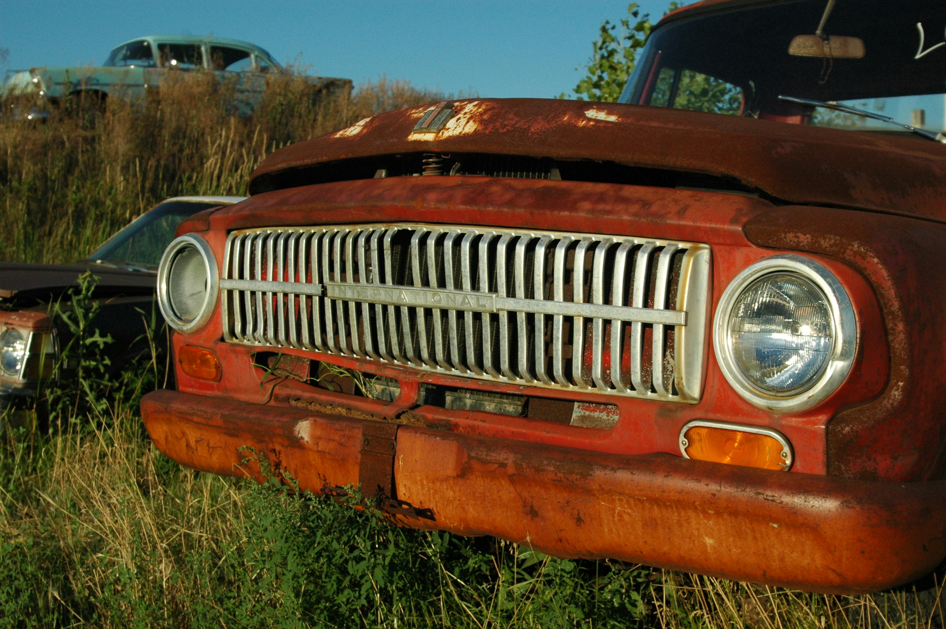 Red, rusty vintage Ford pickup truck with chrome grill and headlights sits abandoned in a rural junkyard in Wisconsin, among many other automobiles put out to pasture after their time on the road. This images was taken during golden hour and I love the color of the light and the way it really highlights the age of this dilapidated truck.
