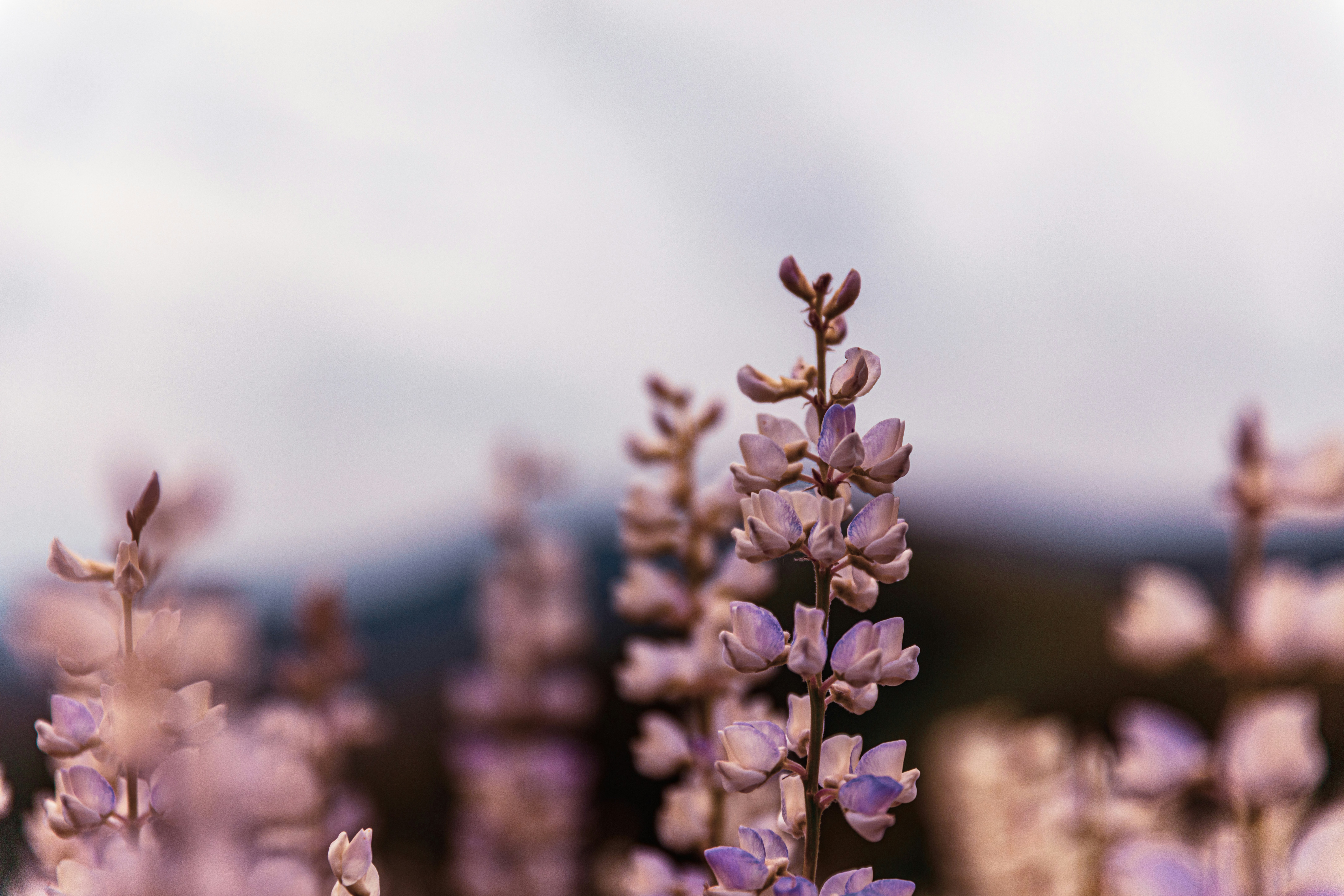 Photo by worldsbetweenlines