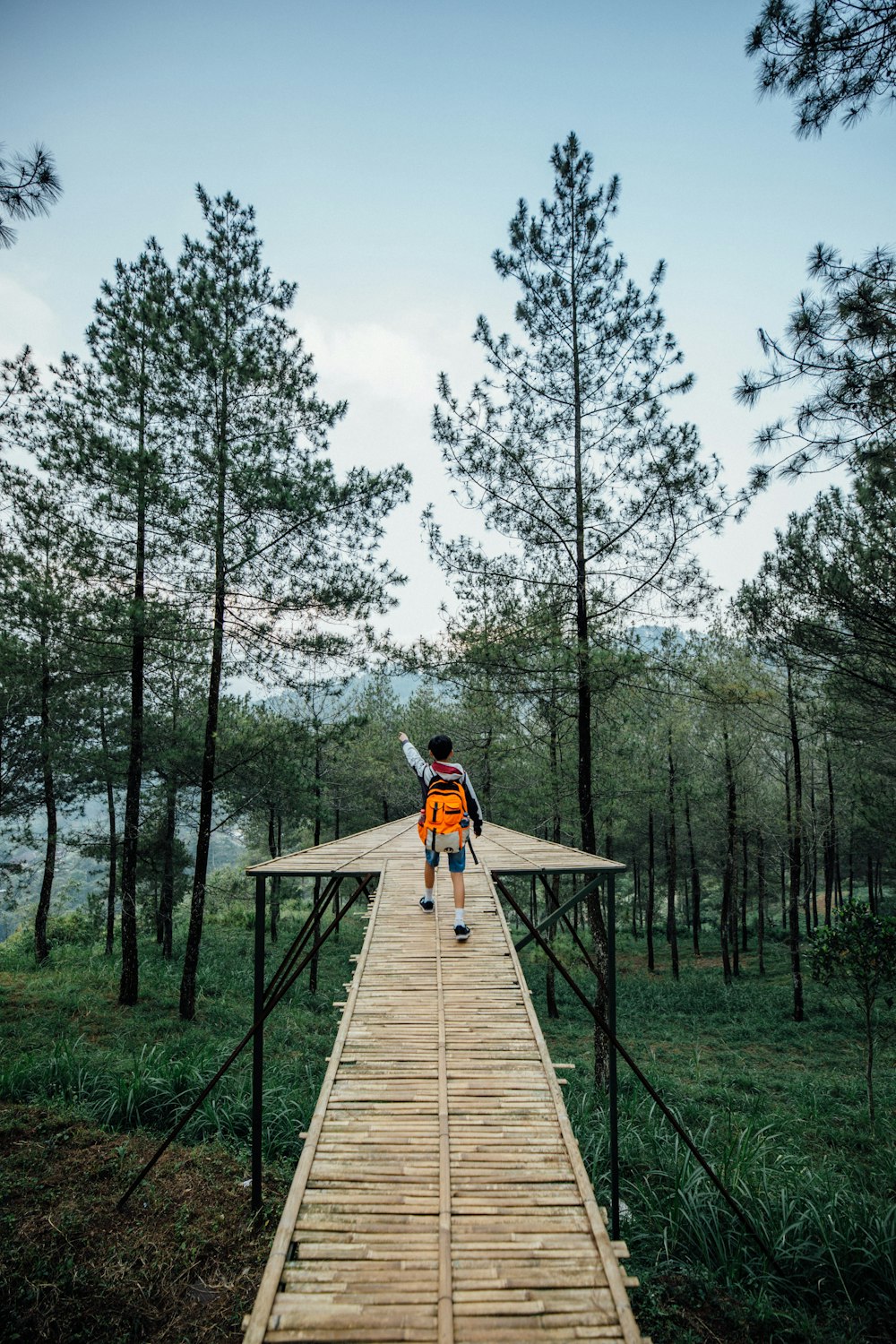 Mann geht auf Holzplattform im Wald
