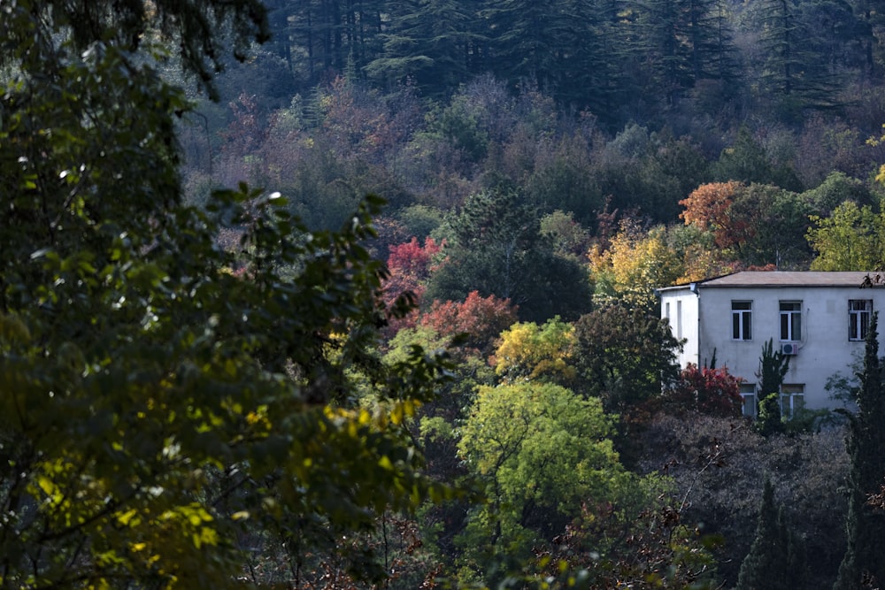 house surrounded with trees during daytime