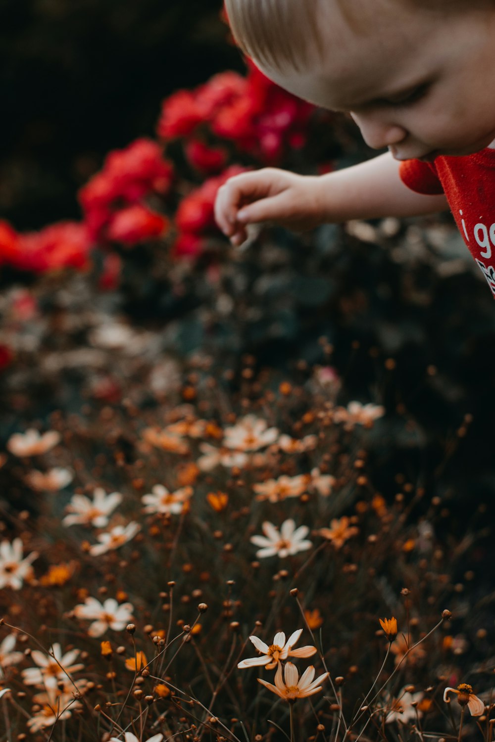 boy's red and white t-shirt