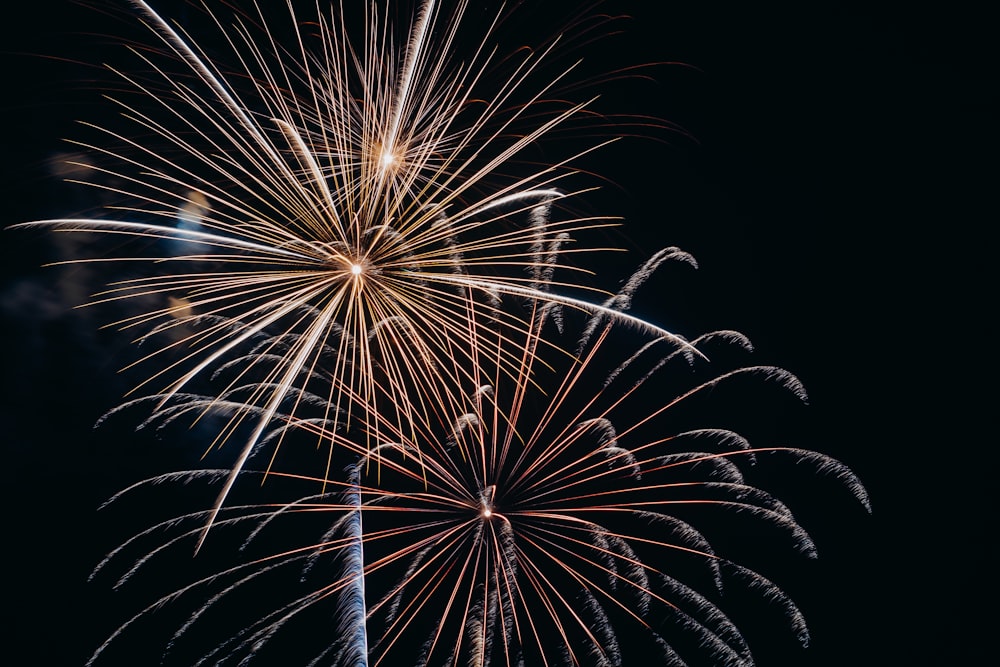 low-angle photo of fireworks