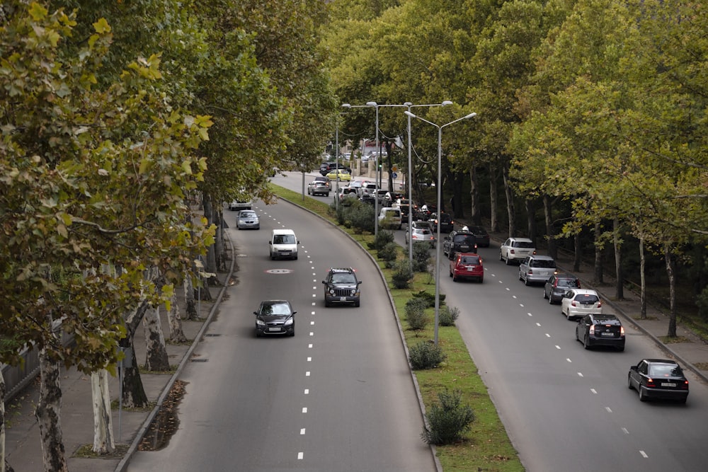 cars passing on road surrounded with trees