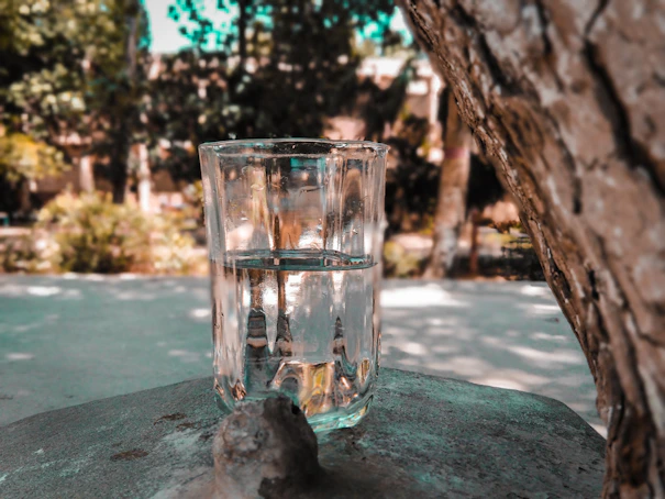 water in clear glass cup on grey rock
