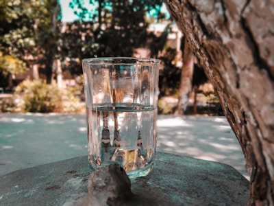 A crystal-clear glass of water reflecting natural sunlight amidst fresh green leaves.