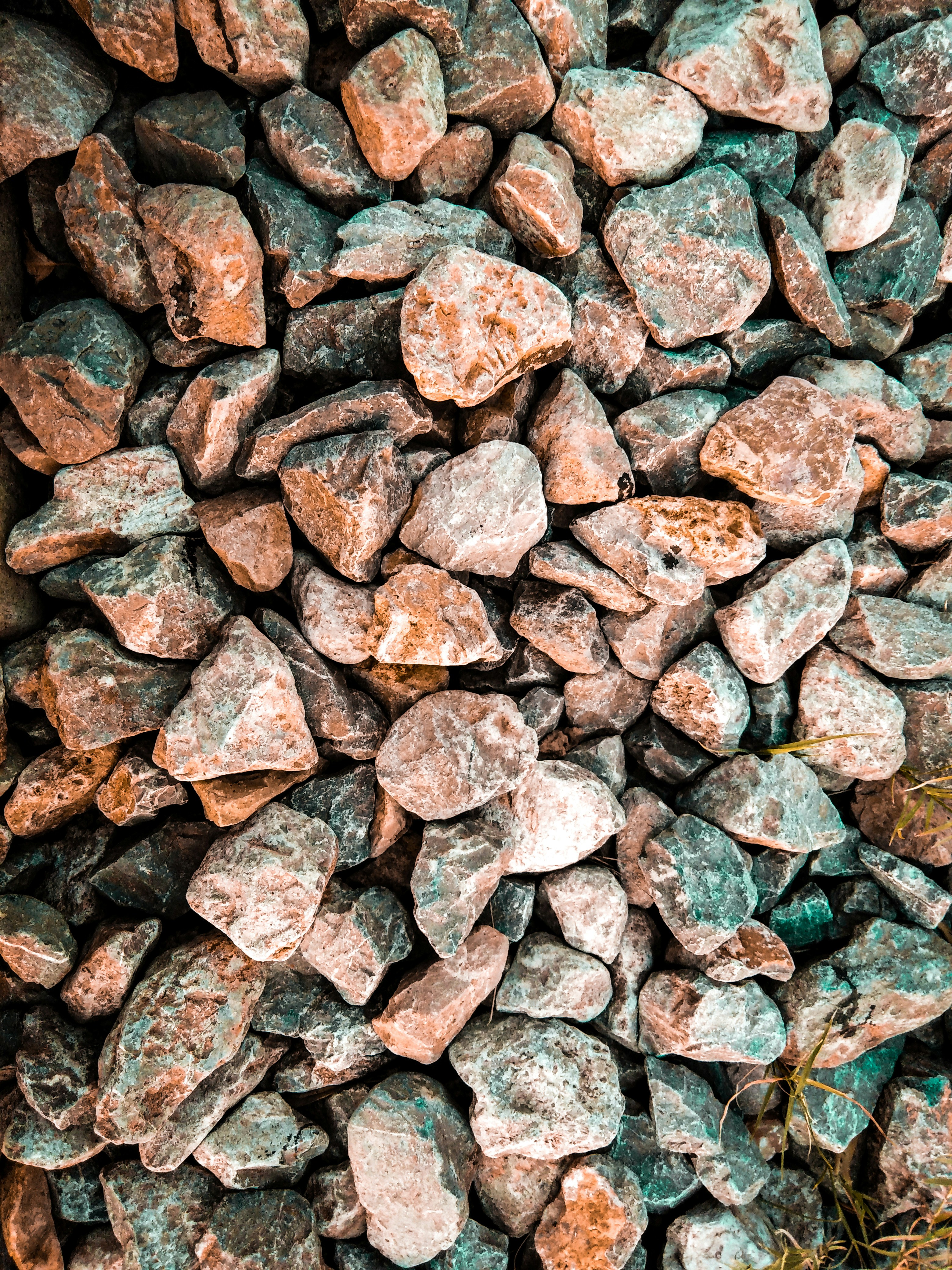 Photo by kamil_mehmood777