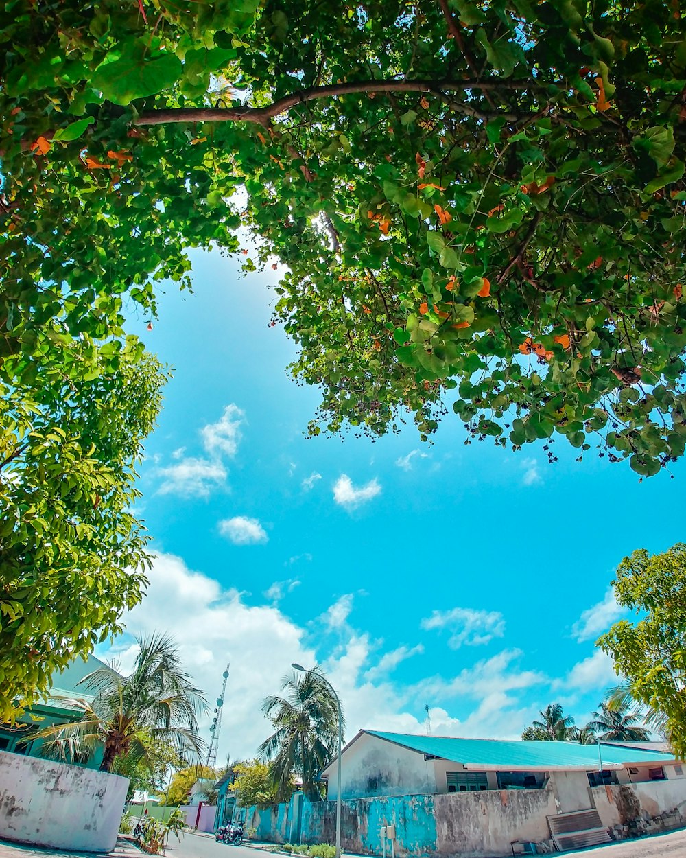 concrete house beside tree during daytime