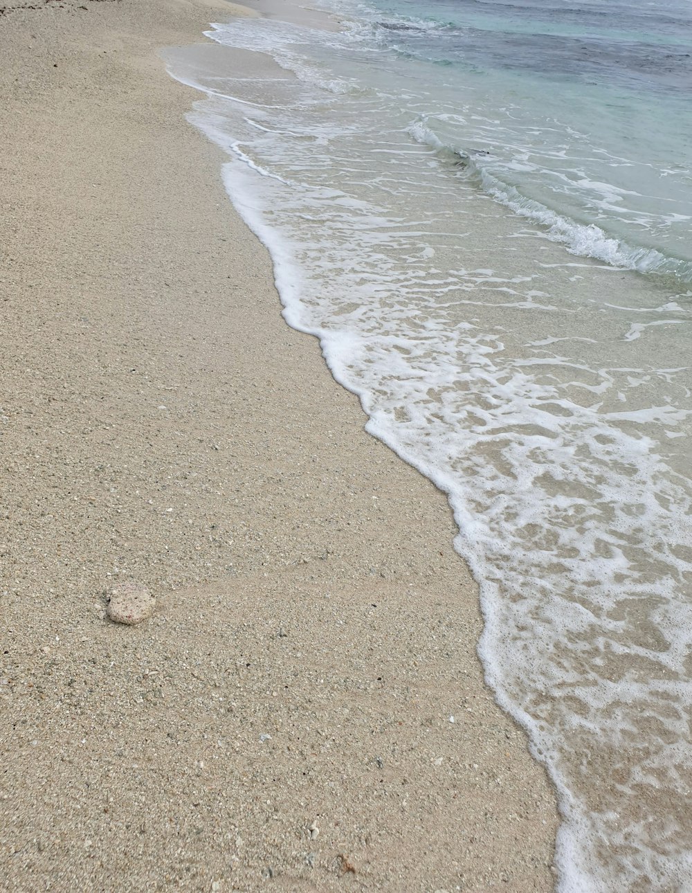 close view of seashore at daytime