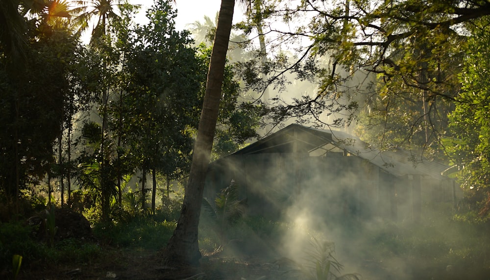 house at the farm during daytime