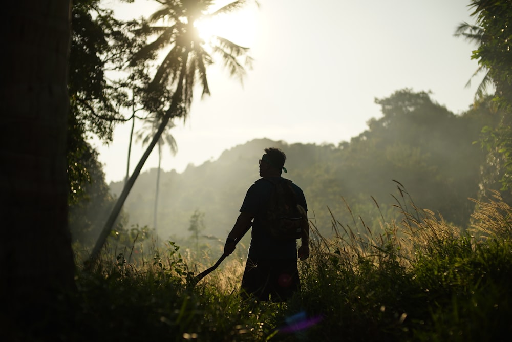 silhouette of man in jungle