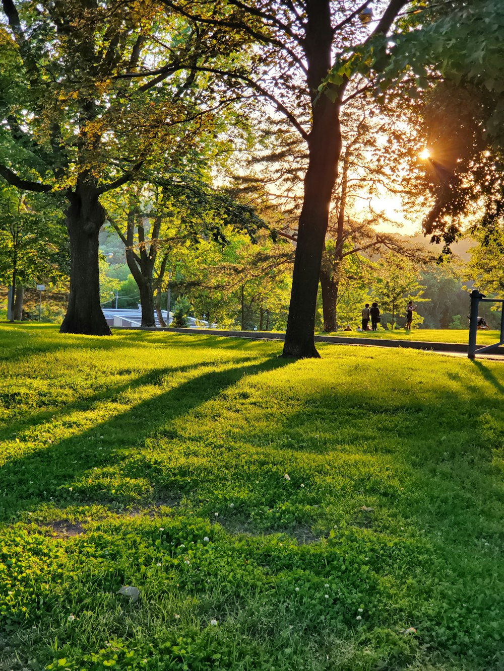 Parc arboré